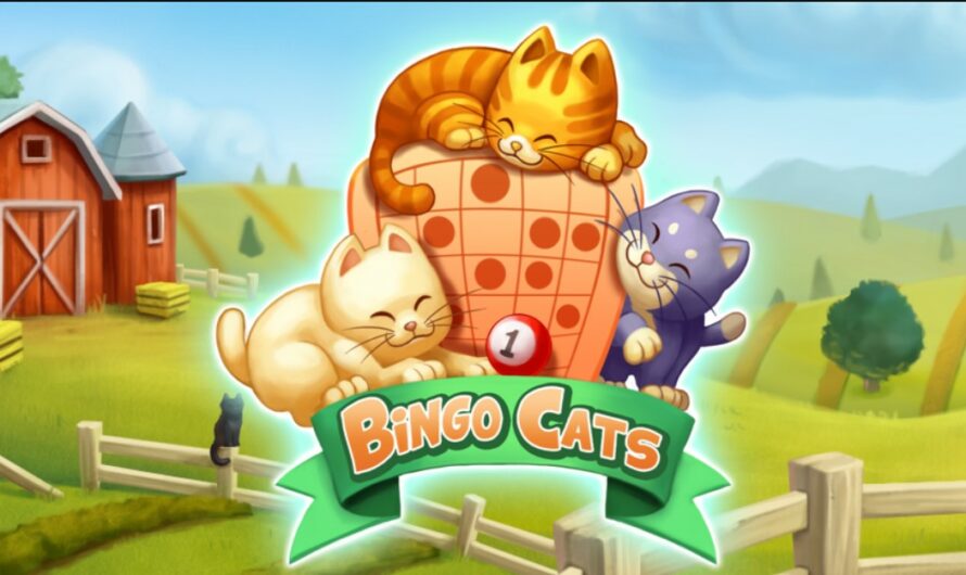 Bingo Cats