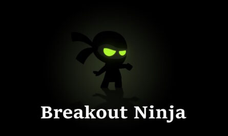 Breakout Ninja