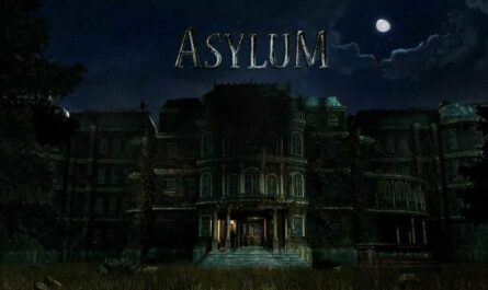Asylum